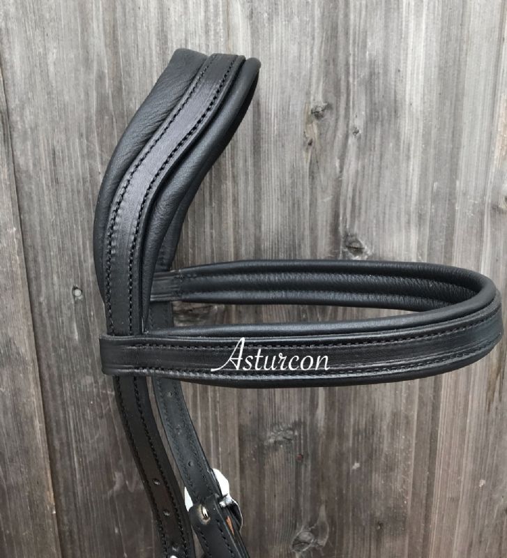 Oslo Training Bridle